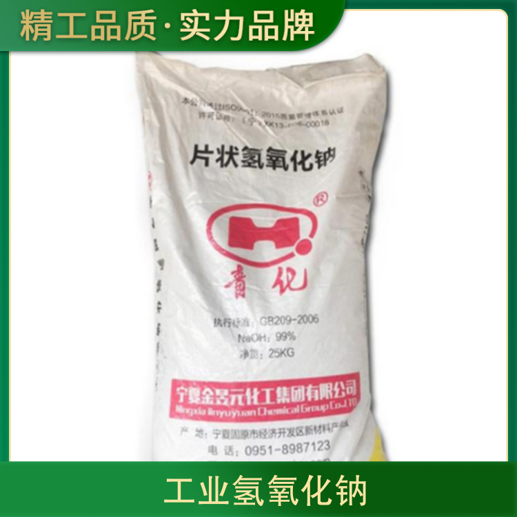 女人的屄视频网站